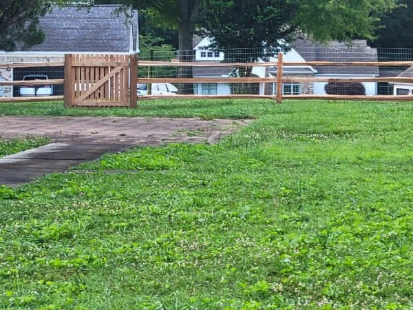 267 feet of 4 foot 3 rail cedar split rail fence backed with welded wire