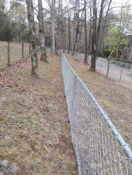 Galvanized chain link fence running the length of a property line