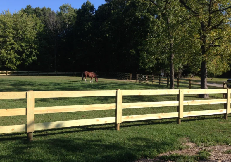 Three rail wood farm fence along a pasture boundary